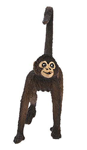 Safari Spider Monkey