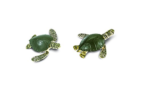 Safari- Tortugas Animales, Multicolor (S345322)