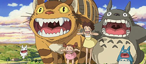 Studio Ghibli SMUGGH02 - Taza con texto "Mon Voisin Totoro" (34 cl)