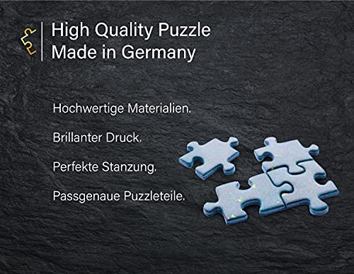 Ulmer Puzzleschmiede - Puzle "Tundra Wolf" – Puzle de noche con 1000 piezas – en blanco y negro el puzzle resalta perfectamente los animales con su simbolismo – Fabricado en Alemania.
