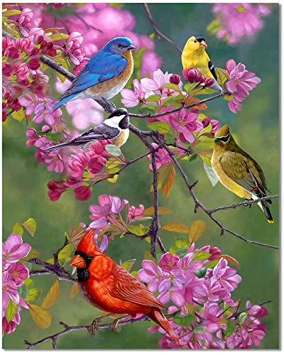Bougimal Pintar por Numeros Adultos, DIY Pintura por Números Pájaros con Marco de 40 X 50 cm