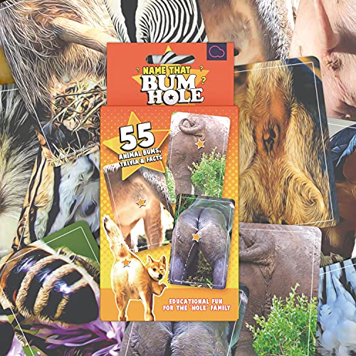 Bubblegum Stuff - Name That Bumhole | Adivina los animales de sus zorros | Juego de preguntas de animales - 55 tarjetas de memoria 4.9 "x3.2" (12.5x8.1cm)