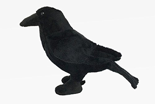 Cornelißen Peluche de cuervo de 17 cm, pájaro de jardín, cuervo