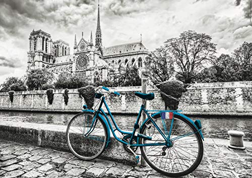Educa - Serie Coloured B&W: Bicicleta Cerca de Notre Dame Puzzle, 500 Piezas, Multicolor (18482)