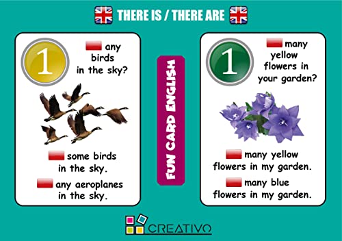 Fun Card English THERE IS/THERE ARE (Grammar and Vocabulary Flashcards + Exciting Game)