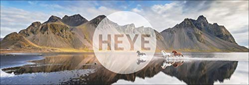 Heye Iceland Horses Ed. Humboldt - Puzzle (1000 Piezas), Color Plateado