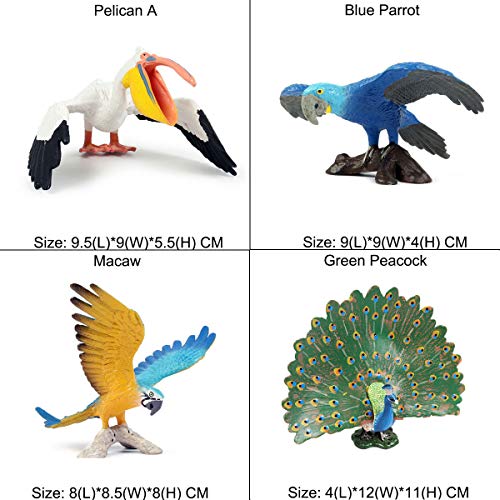 JOKFEICE Figuras de Animales 23 pcs Realista Plástico Juguetes de Aves Incluye Pavo Real, Guacamayo, Loro, Pelícano etc. Proyecto de Ciencia, Regalo de cumpleaños, Decoración de Pastel para niños