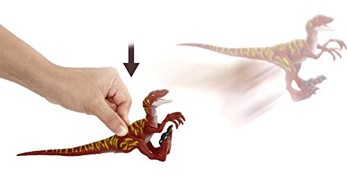 Jurassic World Dinosaurio Ataque Salvaje Velociraptor rayado, figura de juguete con movimientos para niños +4 años (Mattel HBX31)
