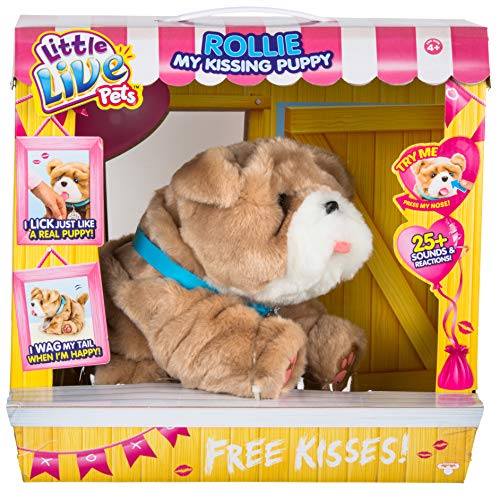 Little Live Pets Kissing Rollie, LP000, Multicolor