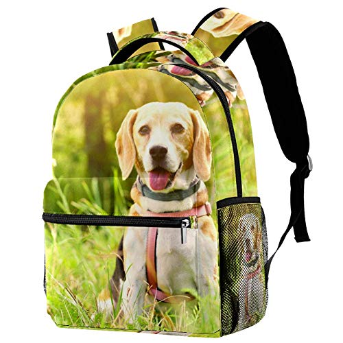 LORVIES Beagle in Grass Sunshine - Mochila de hombro para estudiantes escolares, bolsas de viaje