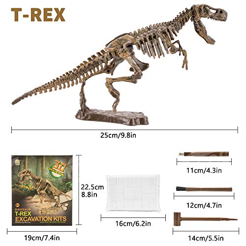 MUSCCCM Dinosaur Dig Kit Tiranosaurio, Dino Skeleton Fossil Excavation Kit Realistic Dinosaur Model Juguetes educativos Regalo para Niños Niñas Regalo de Año Nuevo