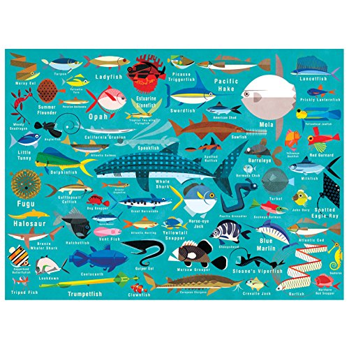 Ocean Life: 1000 Piece Puzzle