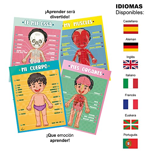 Profit Carteles educativos Cuerpo Humano – Posters Infantil Preescolar para niños en español, inglés. Partes del Cuerpo, Huesos, órganos y músculos. Descubre cómo Funciona Nuestro Cuerpo.