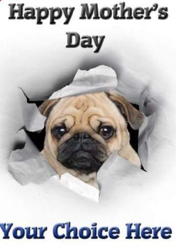 Pug Mothers Day - Tarjeta de felicitación personalizada PID018 Mum Mummy Love