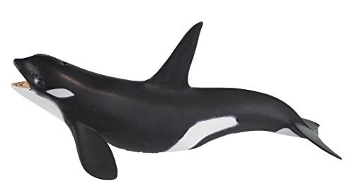 Safari 2751-29 - Orca