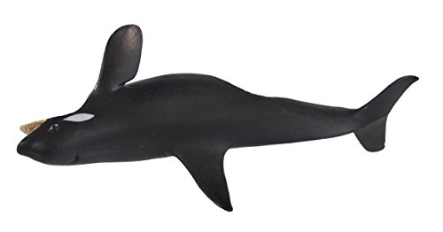 Safari 2751-29 - Orca