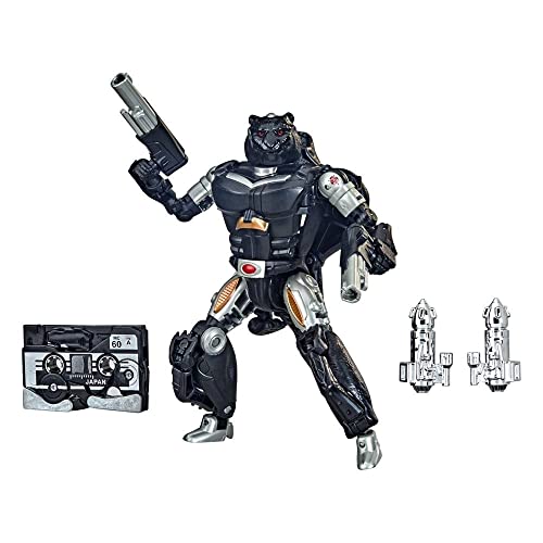 Transformers Pack 2 Figuras Ravage y Decepticons 15cm - Figura (F1201E48)