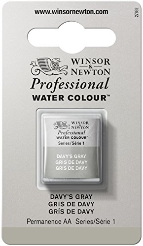 Winsor & Newton Professional - Pintura a Base de Agua, Media Pastilla, Gris (Davy’s Gray 217)