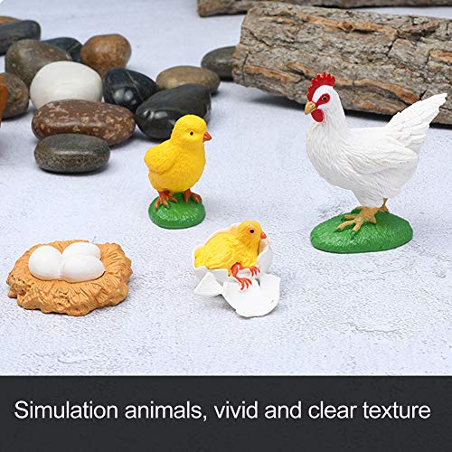 Zerodis Highly Simulation Animal Life Cycle 4 Parte Modelo de Aprendizaje Animal Juguetes educativos para niños pequeños(Ciclo de Vida del Pollito)