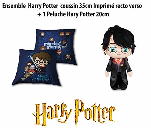 AYMAX S.P.R.L - Cojín de Harry Potter (35 x 35 cm, 1 peluche de Harry Potter, 18 cm), color negro