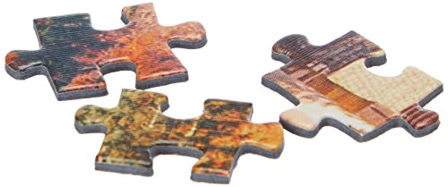 Clementoni - Puzzle 1000 piezas paisaje Castillo de Neuchwanstein, Puzzle adulto (39382)