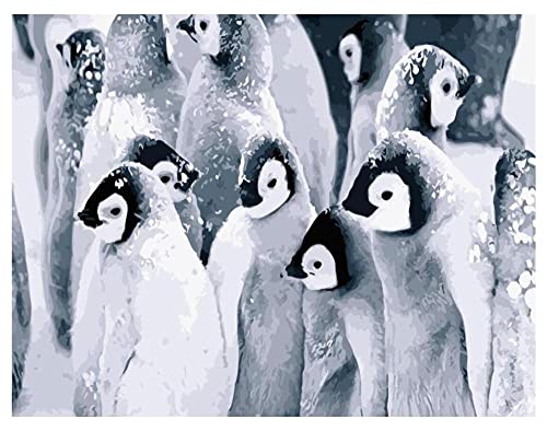 Cuadros Pintura al óleo por números，Animal de aves marinas pingüino，por Números Colorear Aliviar el Estrés Pintura Acrílica de Lona Preimpresos sin Marco