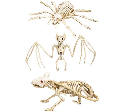 Desconocido My Other Me Esqueletos Animales 3 Sdos Other Me 205436