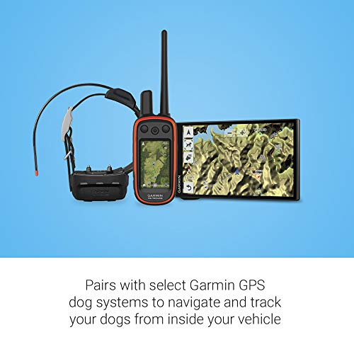 Garmin Drivetrack 71 - Seguimiento de perros en el vehículo y navegador GPS, 010-01982-00