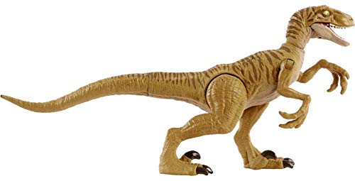 Jurassic World Dinosaurio Ataque Salvaje Velociraptor con garras, figura de juguete con movimientos para niños +4 años (Mattel HBX32)