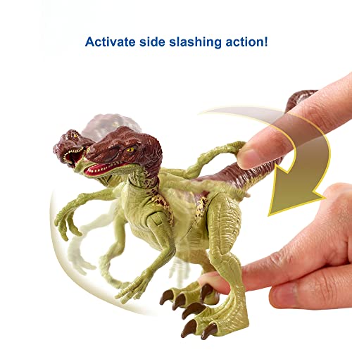 Jurassic World Velociraptor fuerza feroz Dinosaurio articulado, figura de juguete para niños (Mattel GWN32)