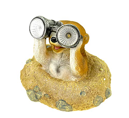 Kremers Schatzkiste Figura de suricata Eddy con prismáticos LED solar, figura de jardín, 20 cm