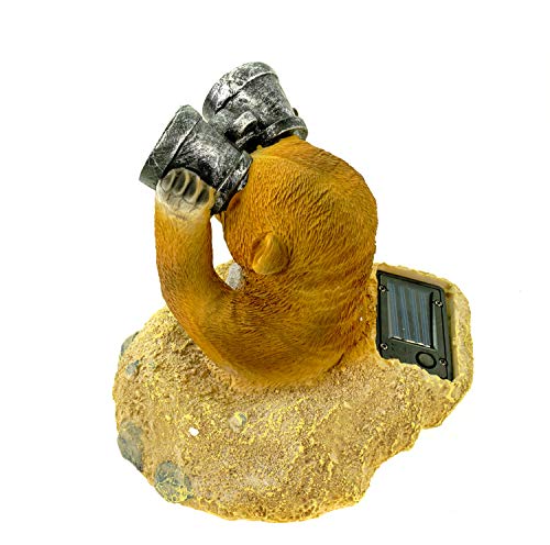 Kremers Schatzkiste Figura de suricata Eddy con prismáticos LED solar, figura de jardín, 20 cm