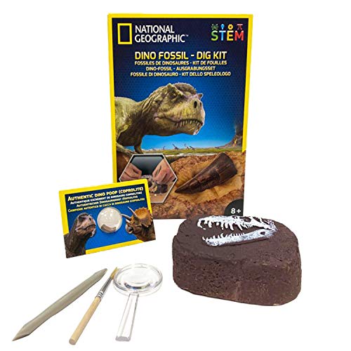 NATIONAL GEOGRAPHIC Kit de excavación de Dinosaurios, Color (JM80215)