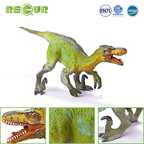 RECUR Deinonychus Dinosaurio Juguetes Educativos Figuras de Dinosauri Realistas Plástico Blando Pintado a Mano Modelo