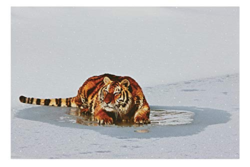 Rompecabezas 1000 Piezas Para Adultos Tigre Siberiano Panthera Tigris Altaica Ocio Juguetes Para Niños Decoración Del Hogar Regalos De Arte