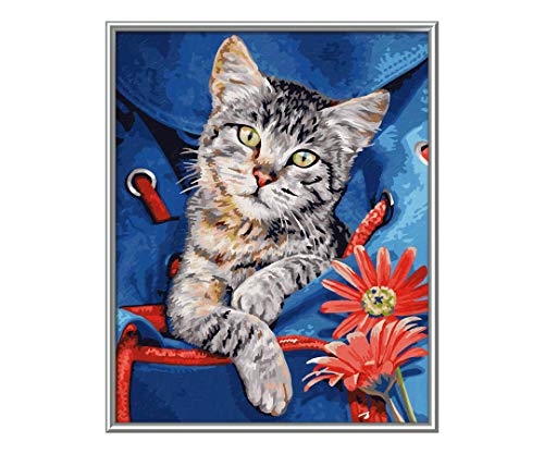 Schipper números, diseño de Gato en la Mochila, para Adultos, Incluye Pincel y Pinturas acrílicas, 24 x 30 cm, Color carbón (609240842)