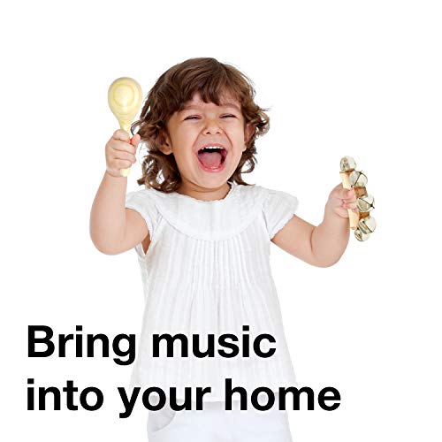 Stoie's Conjunto de Instrumentos Musicales para niños pequeños y preescolares Juguete
