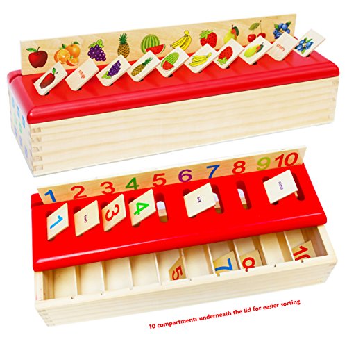 TOWO juguete a juego de clasificación de madera - Juguetes de clasificación de categoría para el aprendizaje temprano -material montessori Juguetes educativos de Madera regalo por 1 año bebe
