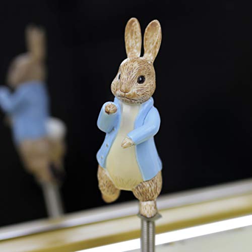 TROUSSELIER - Pierre Lapin - Peter Rabbit. - Caja para tesoros y joyas musicales - Ideal como regalo para niño - Música de la primavera de Vivaldi - Colori Verde