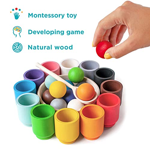 Ulanik Juego de 12 bolas de madera de Montessori, 30 mm de edad, 1 colores, clasificación y conteo preescolar