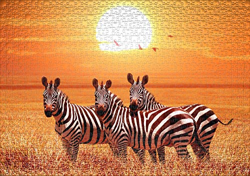 Ulmer Puzzleschmiede - Puzzle Bajo el Sol de África: Puzzle de 1000 Piezas - Un pequeño Grupo de cebras bajo el Sol en la Sabana de África