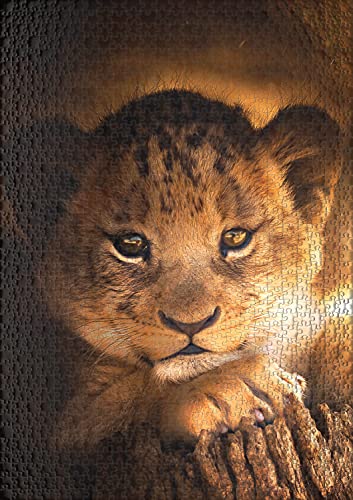 Ulmer Puzzleschmiede - Puzzle "Little Prinz" - Precioso puzle de animales de 1000 piezas – El pequeño león mira la luz del sol en África – Pequeño gato depredador como puzzle de cuento de hadas.