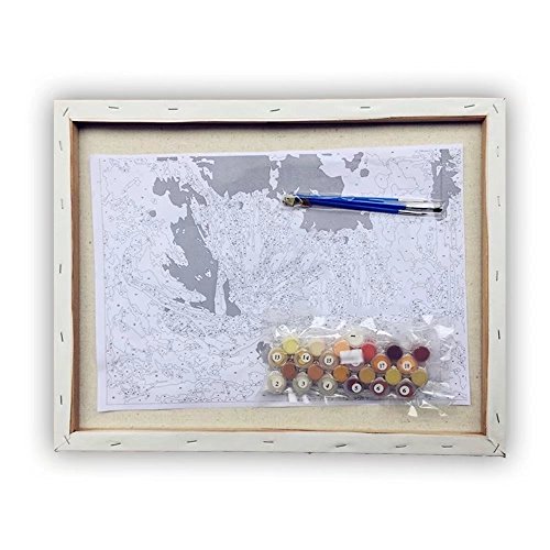 WISKALON Pintar por Numeros Kits 40 X 50 cm DIY pintura al óleo para Adultos y Niños DIY Pintura acrílica con lupa 3X, Pinceles y Pinturas - Puesta de sol (con Marco de Madera)