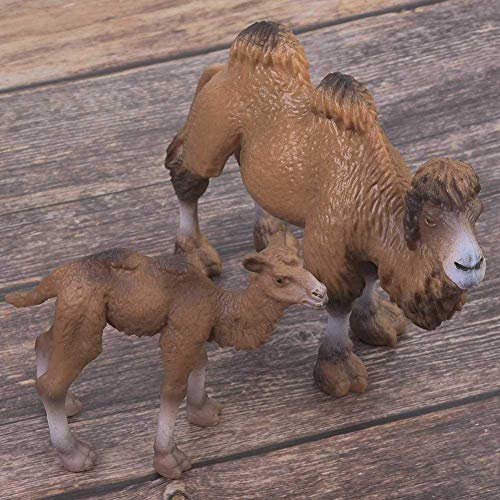 Zerodis 2 pcs Modelo Animal de Juguete, Miniatura Realista Ciencia plástico Modelo Animal Camello Figura simulación Camello Modelo Educativo Animal Juguete