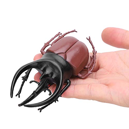 Zerodis 6pcs Modelo de simulación de Escarabajo Unicornio Dorado Adornos de Escarabajo de Hierro Juguete complicado Juguete de Insectos de PVC no tóxico Regalo para niños y niñas(Negro)