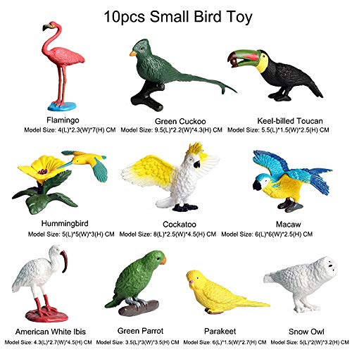 FLORMOON 10 Piezas Juguete pequeñas pájaro Realistic Juguetes para pájaros Animal Figure Early Educational Toys Science Project Christmas Birthday Gift for Kids