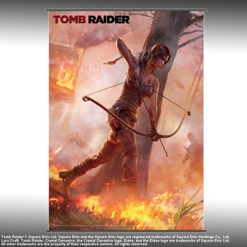Tomb Raider - Figura Wall Scroll Vol.1