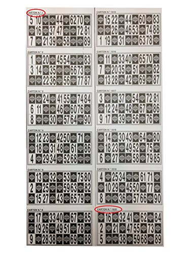 1.020 CARTONES DE Bingo para TACHAR DE CARTULINA