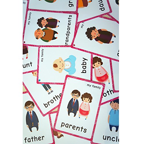 15 Pcs Family Relationship Flashcards | Memory Game | Preschool Educational Learning English Games & First Words Cards(basic english vocabulary cards & cards pocket for kids )12x9cm(inglés)