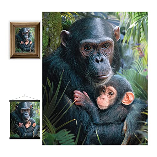 compra de chimpances